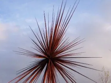 B of the Bang sculpture with long reddish-brown spikes radiating from a central point.