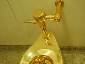 A gleaming gold-colored toilet mounted on a light wall above a speckled gray floor.