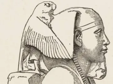Khafre enthroned bust in profile with a nemes headdress and protective falcon behind the head.