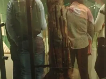 The Shigir Idol, a tall carved wooden artifact displayed upright in a glass case.