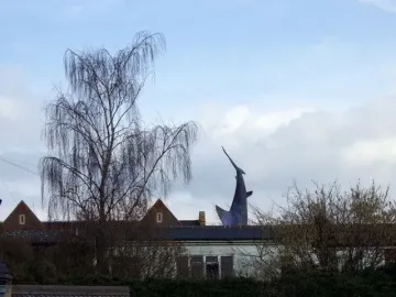 The Headington Shark sculpture appears to plunge headfirst into the roof of a white house, with a bare tree in the foreground.