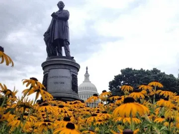 James A. Garfield Monument behind a field of yellow flowers with the U.S. Capitol dome in the background.