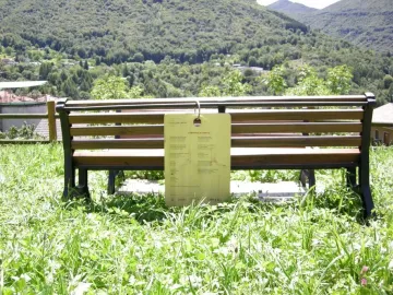 A wooden bench with a hanging plaque stands in a grassy area facing a green mountainside.