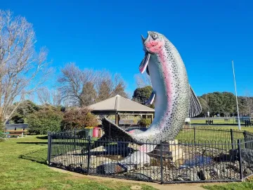 The Big Trout sculpture, a large trout statue with a pink stripe and grey scales, stands in a park behind a black fence.