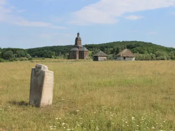 Kernosivka Idol standing in tall grass with small white wildflowers