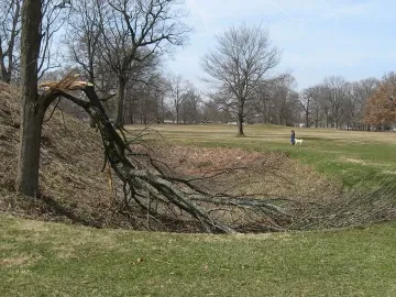 A broken tree stands beside a shallow ditch at Newark Earthworks, with a person walking a white dog in the background.