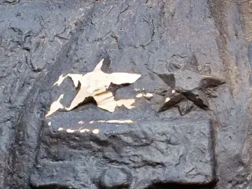 Close-up of the Bronze Soldier showing two embossed star emblems on a dark bronze surface with visible wear.