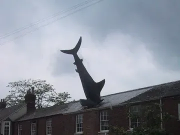Headington Shark sculpture embedded headfirst in the roof of a brick house.