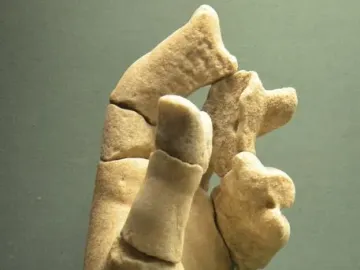 Fragmented marble sculpture from the Bassae frieze, showing a worn reassembled limb against a plain background.