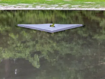 A dark triangular slab of the Memorial to the Murdered Sinti and Roma of Europe floats on water with a small cluster of flowers at its center.