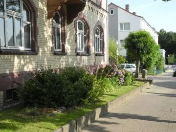 A small rounded tree from 7000 Oaks stands on a paved sidewalk beside a light brick building and garden beds with green bushes and purple flowers.