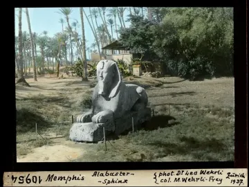 The Sphinx of Memphis stands on open ground with tall palm trees and dense foliage behind it.