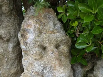 Rothéneuf Sculpted Rocks granite face with carved eyes, nose, and beard-like features surrounded by foliage