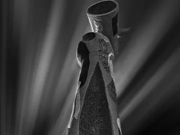Dona i Ocell sculpture rising above water with a bold black-and-white mosaic-like surface.