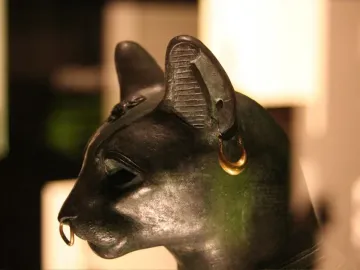 Gayer-Anderson cat in profile, showing a gold crescent earring and nose ring with detailed ear and forehead patterns.