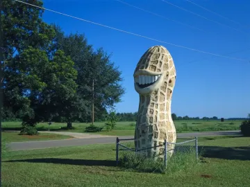 Jimmy Carter Peanut Statue, a large smiling peanut sculpture behind a small chain-link fence in a grassy field with trees, power lines, and blue sky.