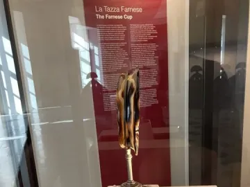 Tazza Farnese displayed vertically on a metal stand in a museum case.