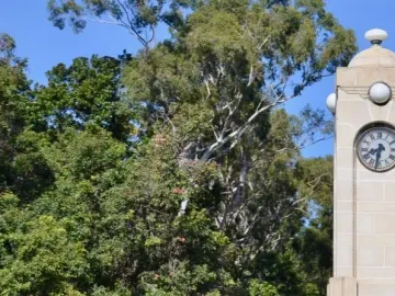 Edith Cowan Memorial clock tower framed by trees against a blue sky.