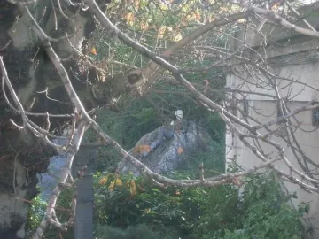 Oscar Wilde Memorial Sculpture reclining on a rock among trees, partly obscured by bare branches.