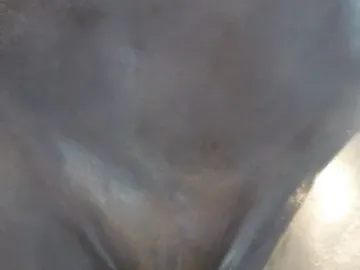 Detail of Diana’s bronze sculpture at the Louvre with damage to the lower body.