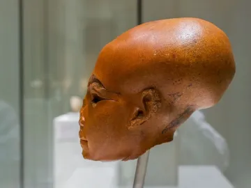 Profile view of a reddish-brown head sculpture of a princess with an elongated cranium and missing eye inlays, mounted on a stand.
