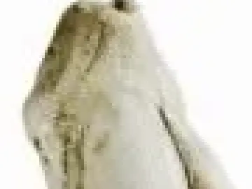 Venus of Moravany figurine with a rounded torso, prominent breasts, and no visible head or limbs.