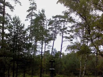 UFO Memorial concrete sculpture in a forest setting with a flat top and pipe-like fixture.