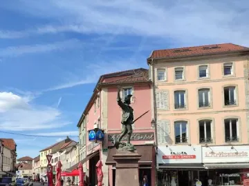 Statue of the Volunteer of 1792 on a tall stone pedestal in a city square, with historic buildings behind it.