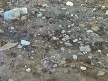 Archaeological excavation surface with scattered stones, bone fragments, and textured soil from the Venus of Monruz site.
