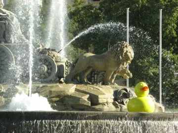 A lion sculpture from the Cibeles Fountain with water splashing around it and a bright yellow rubber duck in the foreground.