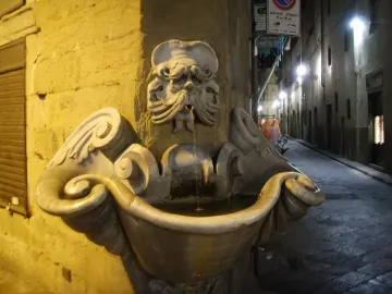 Fontana dello Sprone illuminated at night, with a carved bearded face pouring water into a shell-shaped basin.