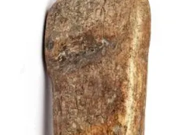 Immodest Venus figurine with a slender torso, flat abdomen, and subtly shaped hips and thighs.