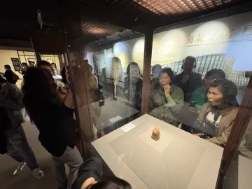 Meat-Shaped Stone displayed in a glass case with layered reddish-brown, pale, and dark stone bands.