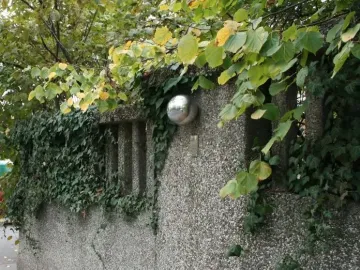 A polished spherical sculpture mounted on a textured concrete wall with ivy and a metal plaque below.