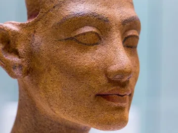 Right-side close-up of the unfinished head of Nefertiti with carved facial features and an ear against a blurred blue background.