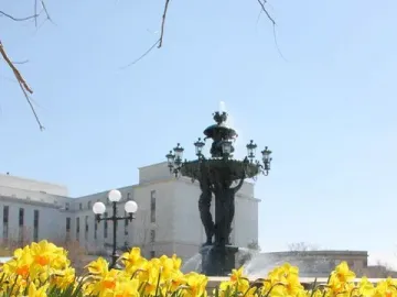 Bartholdi Fountain framed by yellow daffodils, with bronze figures supporting a basin and water spraying from the top.