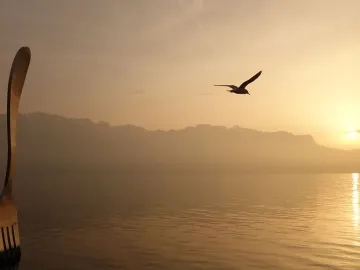 The Fork of Vevey sculpture stands partly submerged in calm water at sunset, with mountains in the distance and a bird in the sky.