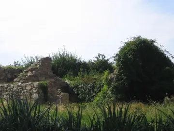 Stone walls and vine-covered mound at the Irish Hunger Memorial, surrounded by tall grasses and green vegetation.