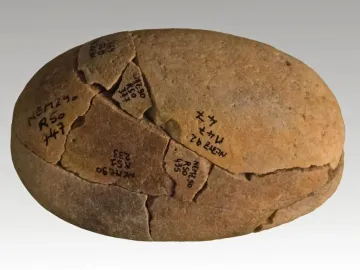 Fragmented light brown stone associated with the Venus of Monruz, marked with handwritten labels and visible cracks.