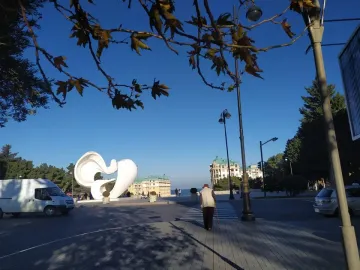 Peace Dove sculpture with smooth white abstract curves in a park