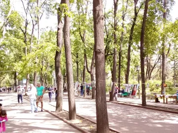 A tree-lined park path with people walking past an outdoor photo exhibition displayed between the trees.
