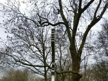 De Schreeuw, a tall metallic sculpture standing on grass in a park beneath an overcast sky.