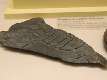 Bull Palette fragment with a stylized animal head, vertical bars, and a scaly creature in low relief.