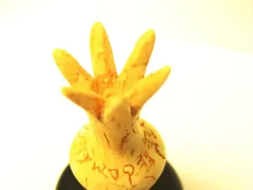 Ivory Pomegranate reconstruction with an inscription around its rounded body