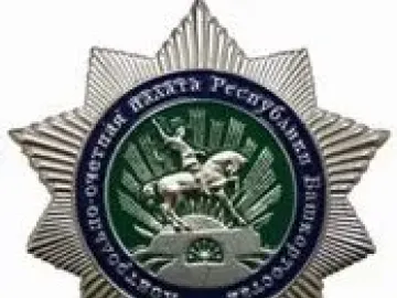 Silver-toned star emblem with a central medallion showing the Salavat Yulaev horseman motif.