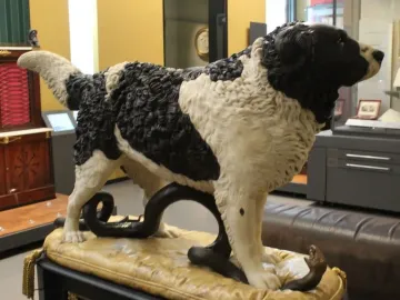 Bashaw, a sculpture of a black and white dog standing with its paws on a coiled snake in a museum display.