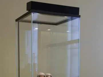 Ancient Egyptian statue of Raherka and Meresankh standing together in a glass display case.