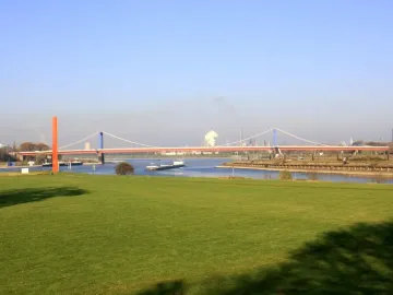 Rhine Orange standing on a grassy riverbank with a bridge and industrial structures in the background.