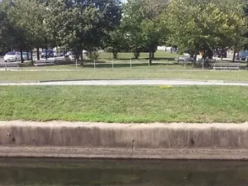 The upper portion of the Trenton Battle Monument rises above trees beyond a narrow waterway, with marigolds in the foreground.