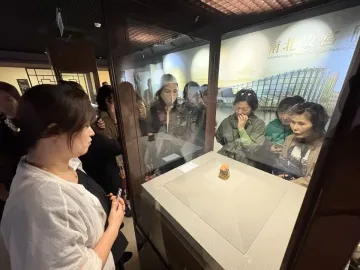 Meat-Shaped Stone displayed on a pedestal inside a glass case with museum visitors nearby.